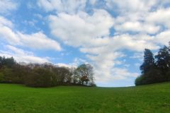 IMG_20230427_175545