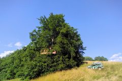 IMG_20230629_173126